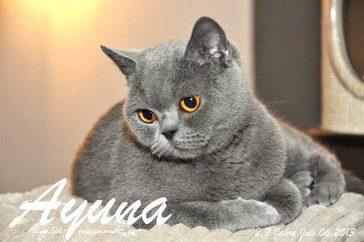 Ayuna ist 2 Jahre und 7 Monate alt ( 06.07.2013 )