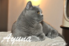 Ayuna ist 2 Jahre und 7 Monate alt ( 06.07.2013 ))