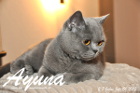Ayuna ist 2 Jahre und 7 Monate alt ( 06.07.2013 )