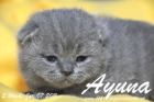 Ayuna ist 2 Wochen alt geworden ( 07.01.2011 )