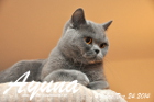 Ayuna ist heute genau 4 Jahre alt geworden . Frohe Weihnachten und happy birthday !! ( 24.12.2014 )