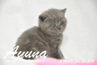 Ayuna ist 5 Wochen alt geworden ( 24.01.2011 )