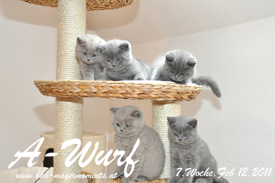 Ayuna ist 7 Wochen alt geworden ( 12.02.2011 )