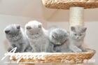 Ayuna ist 7 Wochen alt geworden ( 12.02.2011 )