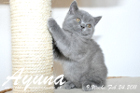 Ayuna ist 9 Wochen alt geworden ( 24.02.2011 )