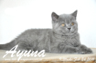 Ayuna ist 9 Wochen alt geworden ( 24.02.2011 )