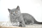 Ayuna ist 9 Wochen alt geworden ( 24.02.2011 )