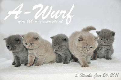 Ayuna ist 5 Wochen alt geworden ( 24.01.2011 )