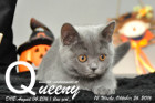 Queeny ist 12 Wochen alt geworden ( 26.10.2016 )