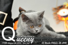 Queeny ist 12 Wochen alt geworden ( 26.10.2016 )