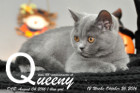 Queeny ist 12 Wochen alt geworden ( 26.10.2016 )