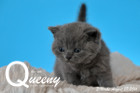 Queeny ist 3 Wochen alt geworden ( 27.08.2016 )