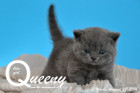 Queeny ist 3 Wochen alt geworden ( 27.08.2016 )