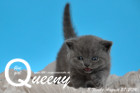 Queeny ist 3 Wochen alt geworden ( 27.08.2016 )