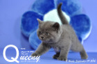 Queeny ist 5 Wochen alt geworden ( 09.09.2016 )