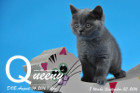 Queeny ist 7 Wochen alt geworden ( 23.09.2016 )