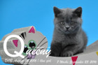 Queeny ist 7 Wochen alt geworden ( 23.09.2016 )