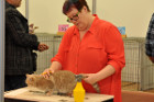 Ronja bei Tica Richterin Phillipa Holmes aus England