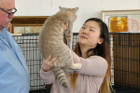 Ronja bei Tica Trainee Hanne Minne und Richter Kurt Vlach