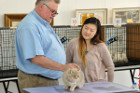Ronja bei Tica Trainee Hanne Minne und Richter Kurt Vlach