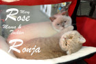 Mary Rose und ihre Tochter Ronja sind ein Team