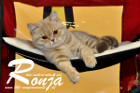 Ronja unsere kleine Lady ist immer ganz gespannt was sich rund um sie abspielt
