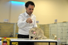 Ronja bei Tica Richter Pascal Remy aus Frankreich