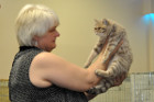 Ronja bei Tica Richterin Sue Hart Jones aus England