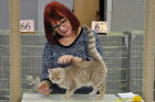 Ronja bei Tica Richterin Jane Allen aus England