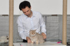 Queeny bei Tica Richterin Marion Schiff aus den USA