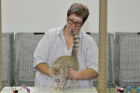 Ronja bei Tica Richterin Phillipa Holmes aus England