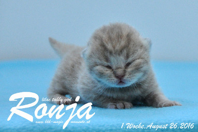 Ronja ist am 18.08.2016 um 15.00 Uhr geboren