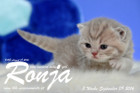 Ronja ist 3 Wochen alt geworden ( 09.09.2016 )