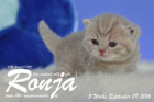Ronja ist 3 Wochen alt geworden ( 09.09.2016 ))