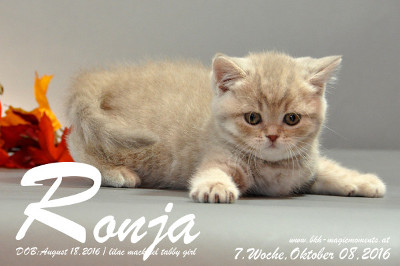 Ronja ist 7 Wochen alt geworden ( 08.10.2016 )