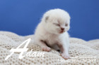 Adam ist 1 Woche alt ( 24.03.2019 )