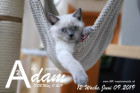 Adam ist 12 Wochen alt ( 09.06.2019 )