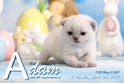Adam ist 3 Wochen alt ( 06.04.2019 )