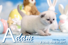 Adam ist 3 Wochen alt ( 06.04.2019 )