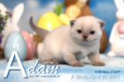 Adam ist 3 Wochen alt ( 06.04.2019 )