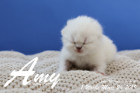 Amy ist 1 Woche alt ( 24.03.2019 )