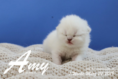 Amy ist 1 Woche alt ( 24.03.2019 )