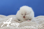 Amy ist 1 Woche alt ( 24.03.2019 )
