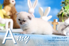 Amy ist 3 Wochen alt ( 06.04.2019 )