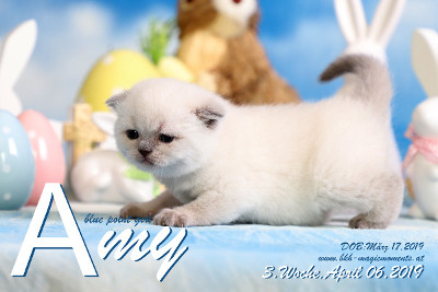 Amy ist 3 Wochen alt ( 06.04.2019 )