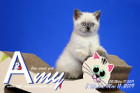 Amy ist 8 Wochen alt ( 11.05.2019 )