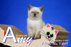 Amy ist 8 Wochen alt ( 11.05.2019 )