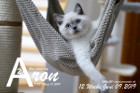 Aron ist 12 Wochen alt ( 09.06.2019 )