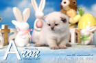 Aron ist 3 Wochen alt ( 06.04.2019 )