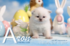 Aron ist 3 Wochen alt ( 06.04.2019 )
